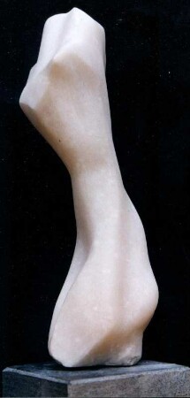 Torso