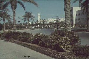 Reisefotos Libyen. Tripolis. Öffentlicher Park