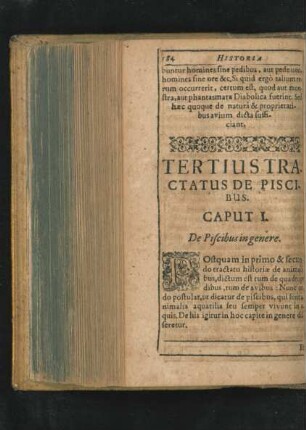 Caput I. De Piscibus in genere.