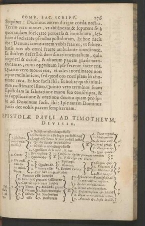 Epistolae Pauli Ad Timotheum, Divisio.