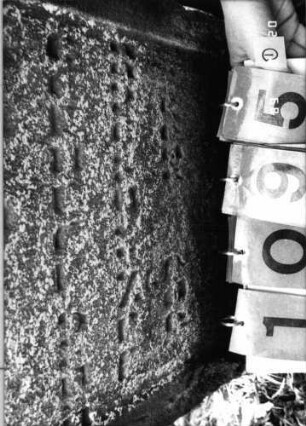 Grabstein 1095 (Index: 99753254) Material: Sandstein Zustand: stark verwitt/großer Textverlust Maße HxBxT: 84x45x9 cm Beschreibung: Stele, eingezogener Rundbogenabschluß, Schriftfeld eingetieft: Grabstein 1095D