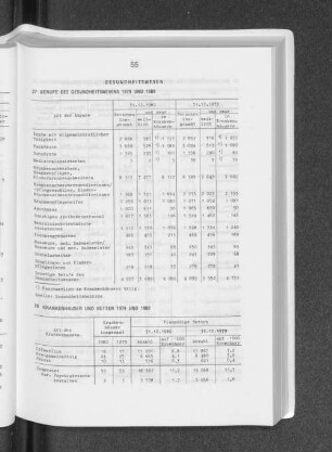 Berufe des Gesundheitswesens 1979 und 1980