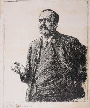 Friedrich Naumann (1860-1919)