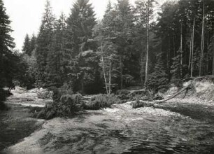 Dresdner Heide. Zerstörungen an der Prießnitz nach einer Hochflut im Juli 1926
