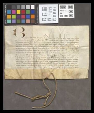 Mainz (St. Jakobsberg): Bulla Bonifacii Papae pro Monast. St. Jacobi extra muros Mogunt. pro recuperatione alienatorum et abbatorum bonorum