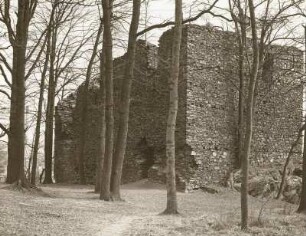 Burg Kempe : Ruine, Ansicht von Nordwesten