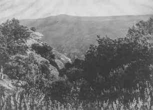 Landschaft : Die Landschaft und Vegetation im Tugelatal
