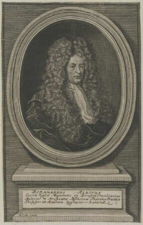 Bildnis des Bernhardus Albinus