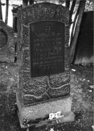 Grabstein 775 (Index: 99630277) Material: Granit mit geschliffener Platte Zustand: gut Maße HxBxT: 153x74x44 cm Beschreibung: Stele auf Sockel mit Segmentbogenabschluß, Schriftplatte Steinmetz: Nussberger: Grabstein 775