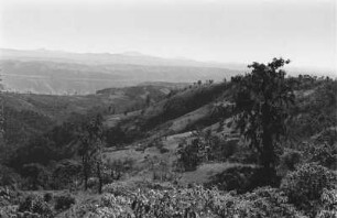 Landschaft im Gebirge : Blick vom Gebirge gegen ein Tal (Chercher-Gebirge).
