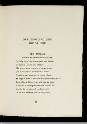 Der Jüngling und die Spinne