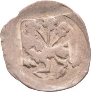 Münze, Schwaren, wohl erste Hälfte 14. Jahrhundert