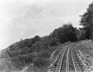 Rüdesheim, Schienen der Zahnradbahn : Schienen der Niederwaldbahn