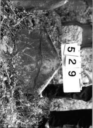 Grabstein 529 (Index: 100095161) Maße HxBxT: 38x47x7 cm Besonderheit: Kindergrab: Grabstein 529