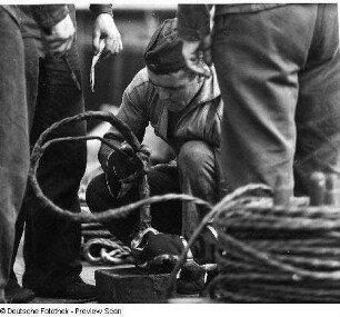 Deutschland . Nationale Volksarmee - Seestreitkräfte. Matrosen bei der Arbeit mit Drahttauwerk