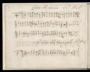 4. Pauana della ghirlanda