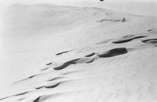 Winderosion an der Wanderdüne : Wanderdüne am Strand von Nida am kurischen Haff mit Spuren von Winderosionen.