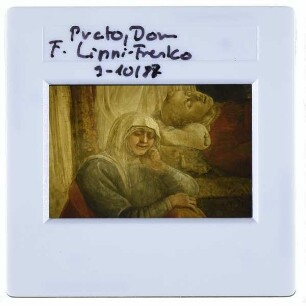 Prato, Dom