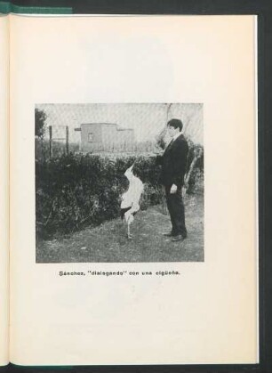 [Fotografía de] Sánchez, "dialogando" con una cigüeña.