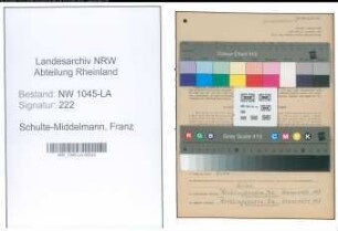 Entnazifizierung Franz Schulte-Middelmann , geb. 02.04.1893 (Angestellter)