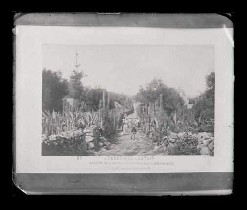 Vistas mexicanas: Camino del Galvario en el pueblo de Ayotla, alrrededores de México : [Fotografía invertido lateralmente]