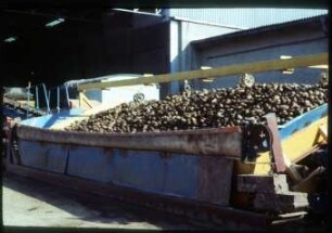 Annahmedosierer T230 ; Flexible Rückwand ; Weidensdorf 1978