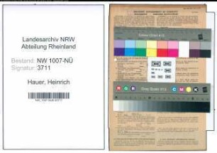 Entnazifizierung Heinrich Hauer , geb. 13.03.1904 (Kaufmann)
