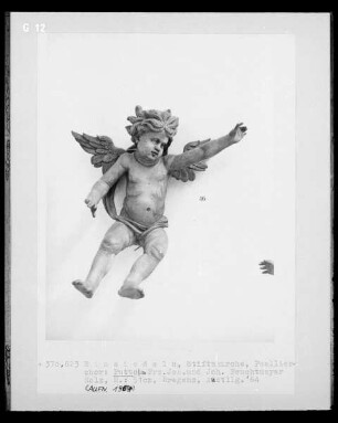Putto