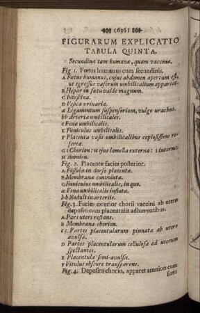 Figurarum Explicatio. Tabula Quinta.
