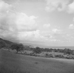 Sizilien, Nordküste, Blick über ein Feld auf die Küste