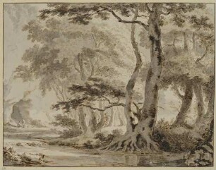 Waldlandschaft