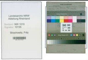 Entnazifizierung Fritz Strachowitz , geb. 04.01.1909 (Landarbeiter)