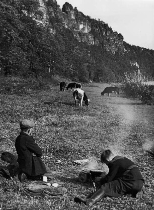 Sächsische Schweiz. Zwei Wanderer beim Kochen im Elbtal bei Rathen, mit Kühen, Blick auf Basteifelsen mit Großer Steinschleuder