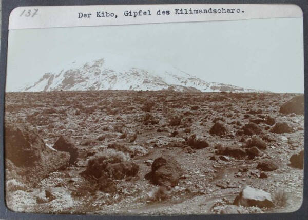 Le Kibo, sommet du Kilimandjaro.