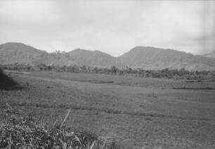 Der zerbrochene Kraterfuß : Ebene Graslandschaft mit Bergen und Vegetation