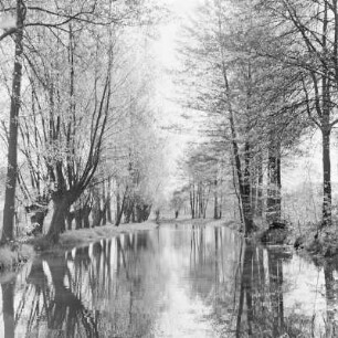 Trotzkefließ in Leipe. : Groble w Lipjem.