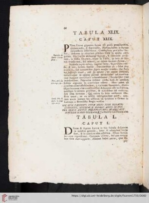 Tabula XLIX. Caput XLIX