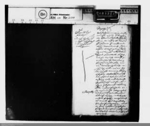 . Angelegenheiten der kurtrierischen Vormundschaft über Nassau-Hadamar und die Marquise von Westerloo: Band 5