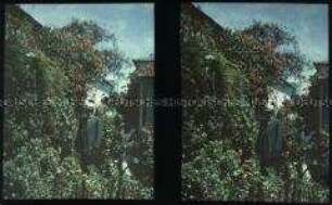 Enrique Hintze in einem Garten in der chilenischen Hafenstadt Taltal