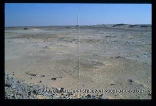 Djara 90/1