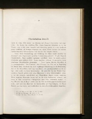 Chaetocladium Jones'ii