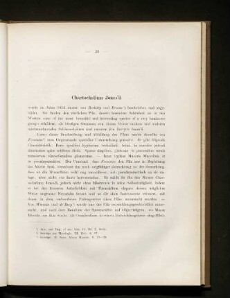 Chaetocladium Jones'ii