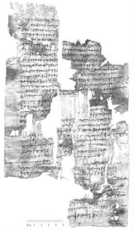 PKS 7: Sarapion an Poseidonios über einen Getreidediebstahl (Inv. 22301 + 22309, Köln, Papyrussammlung)