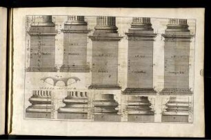 Columna.