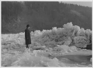 Packeis an der Donau