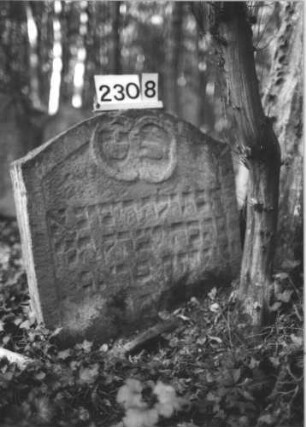 Grabstein 2308
