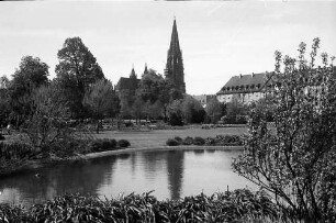 Freiburg: Stadtgarten, Blick über Teich zum Münster