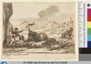 Stier, von Hunden gehetzt