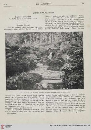 Nr.10