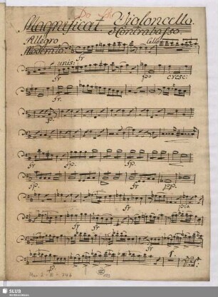 Violoncello e Contrabasso